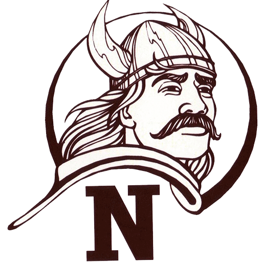 Viking Logo for USD 246