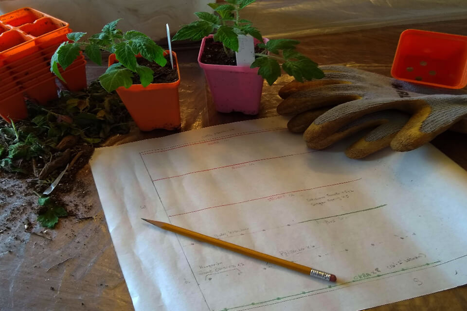 seed packages laying no grid paper for design of planting layout